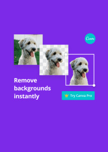 canva