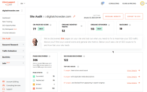 website audit