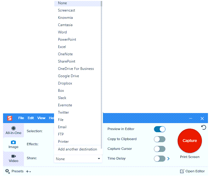 snagit options